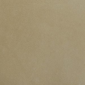 Natural leather swatch