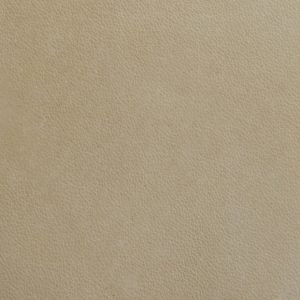 Natural leather swatch