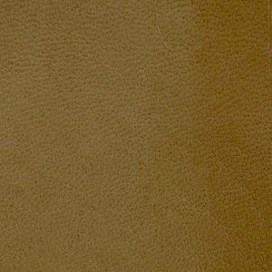Tan leather swatch
