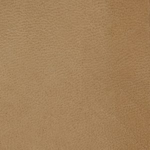 Tan leather swatch