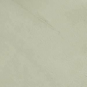 White leather swatch