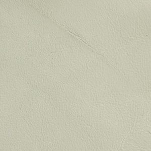 White leather swatch